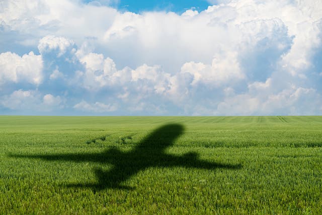 <p>Green aviation is being sold as the future: but does it exist?</p>