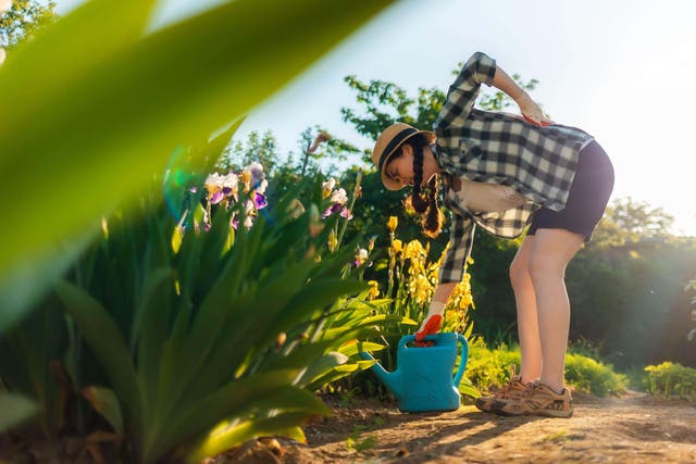 Don’t let back pain ruin your peak gardening season (Alamy/PA)