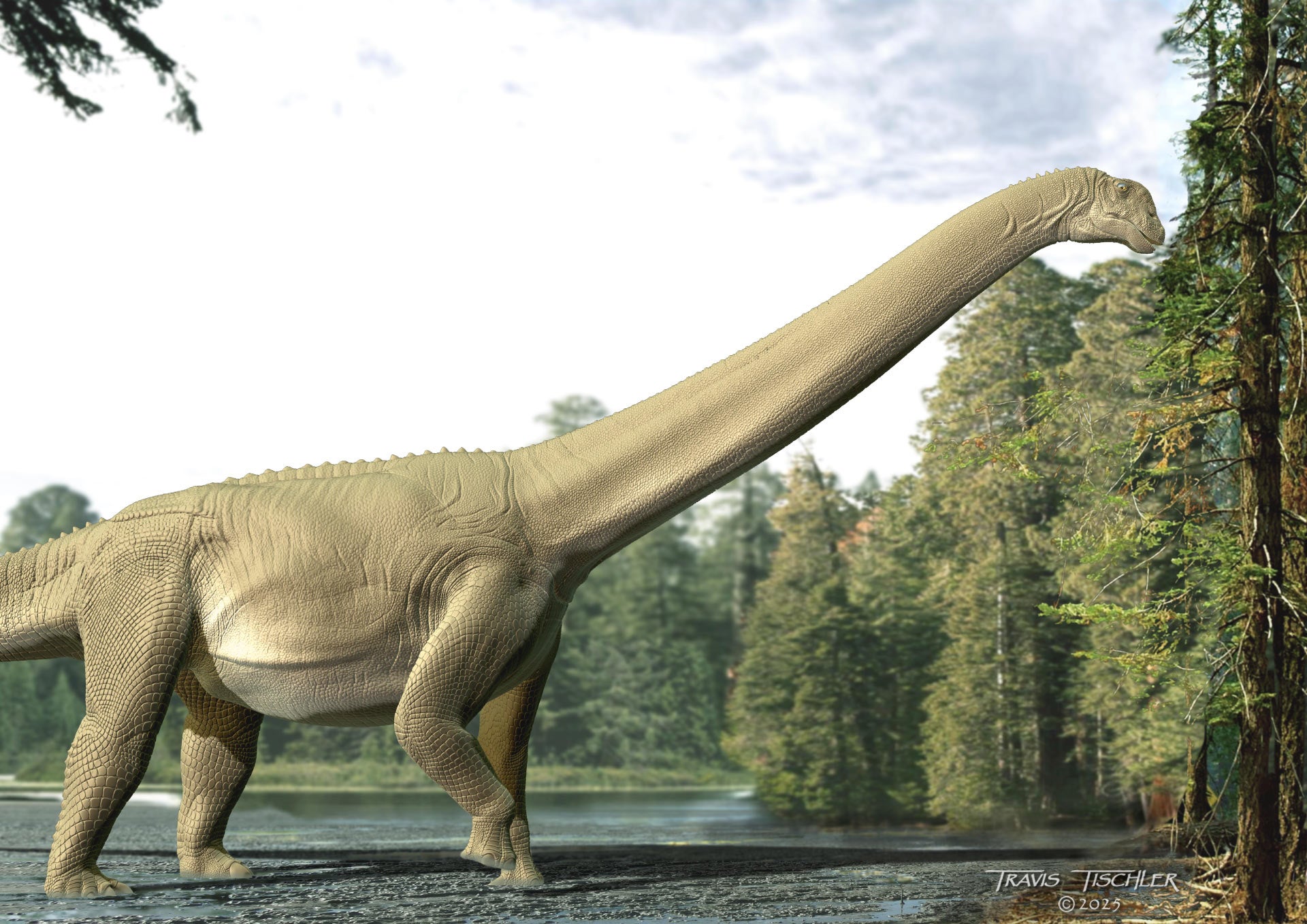 Artist’s reconstruction of Judy